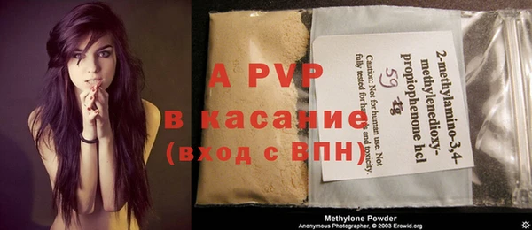 спиды Нея