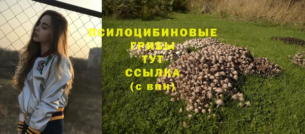 дурь Нефтегорск