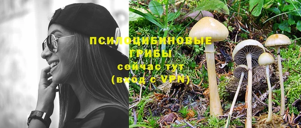 дурь Нефтегорск