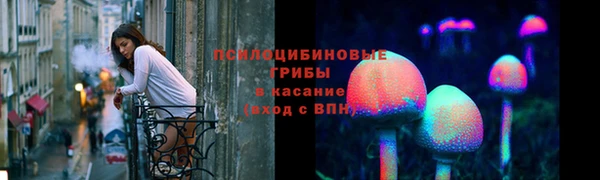 спиды Новодвинск