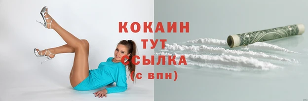 ПСИЛОЦИБИНОВЫЕ ГРИБЫ Новозыбков
