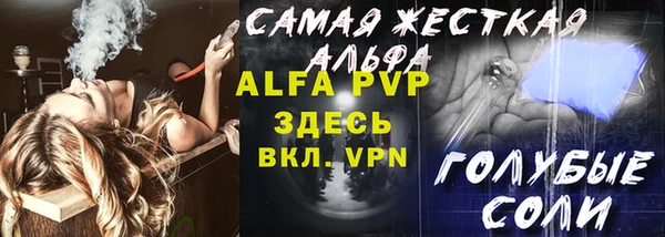ПСИЛОЦИБИНОВЫЕ ГРИБЫ Новозыбков