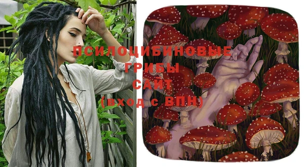 спиды Новодвинск