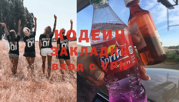 ПСИЛОЦИБИНОВЫЕ ГРИБЫ Новозыбков