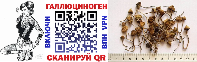 Псилоцибиновые грибы GOLDEN TEACHER  Костерёво 